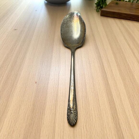 Vintage Crown Silverplate Jelly Spoon Radiance Pattern 6" Silver Plate Flatware - Picture 1 of 7
